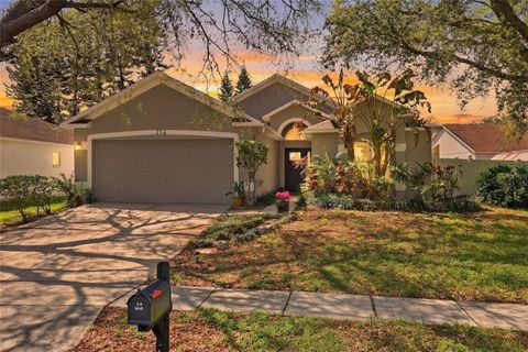 214 SACRAMENTO STREET VALRICO FL 33594