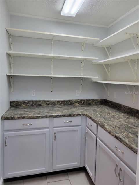 Tiny photo for 807 Mclain Court, Tavares, FL 32778 (MLS # G5110438)