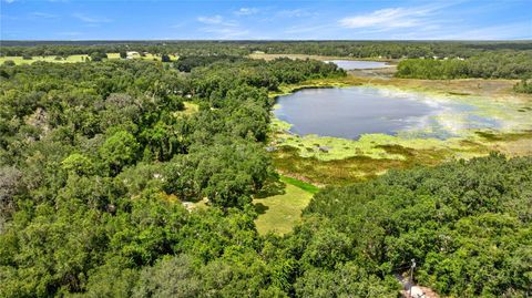 Tiny photo for 11990 SE 112th Avenue Road, Belleview, FL 34420 (MLS # OM708705)