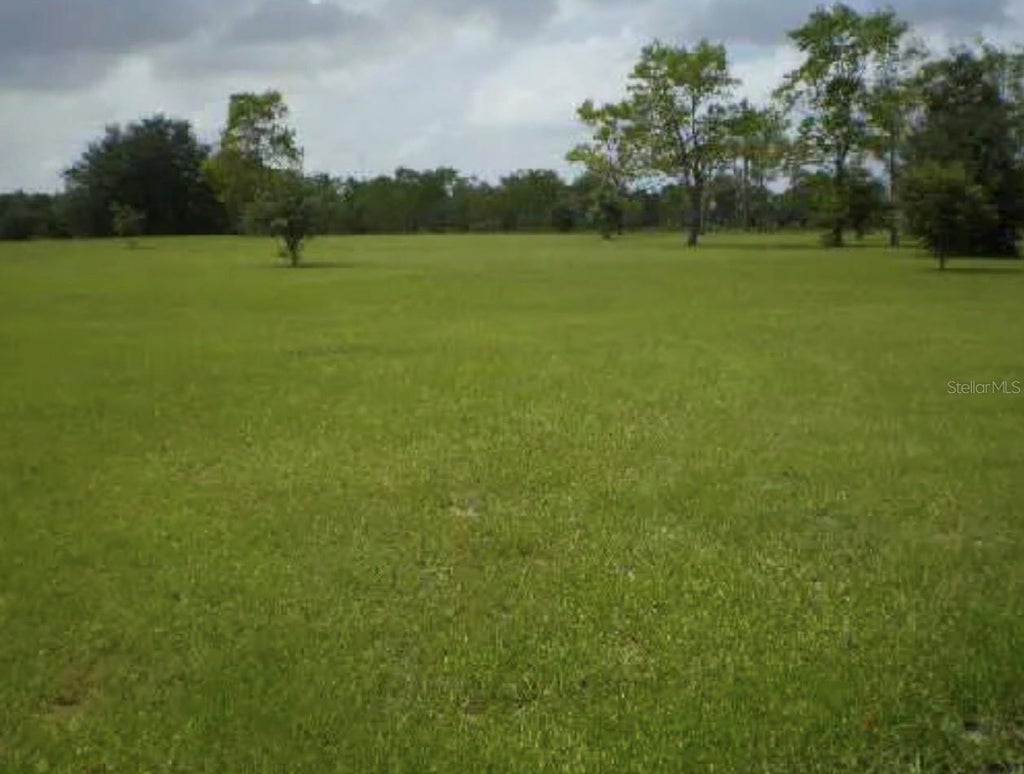 Photo of 25429 Shetland Trail, Sorrento, FL 32776 (MLS # O6425037)
