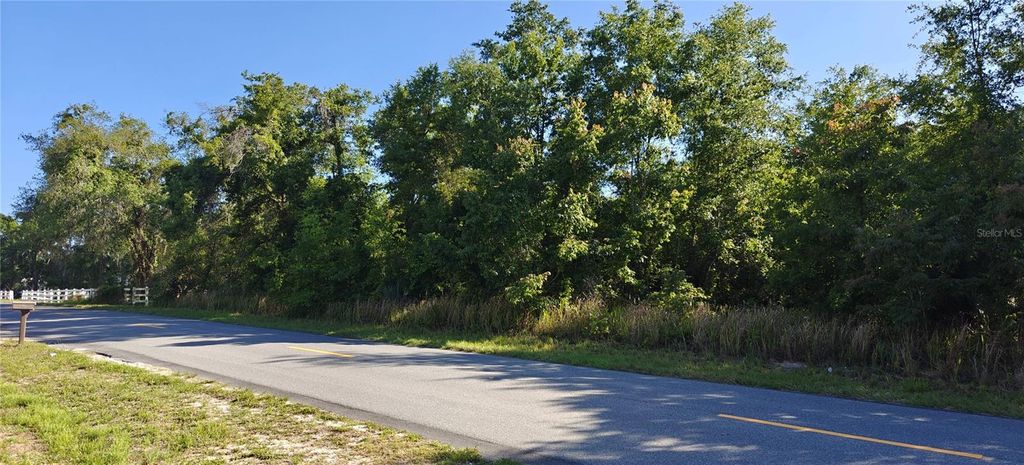 Photo of 114 N Goodman Road, Kissimmee, FL 34747 (MLS # O6399976)