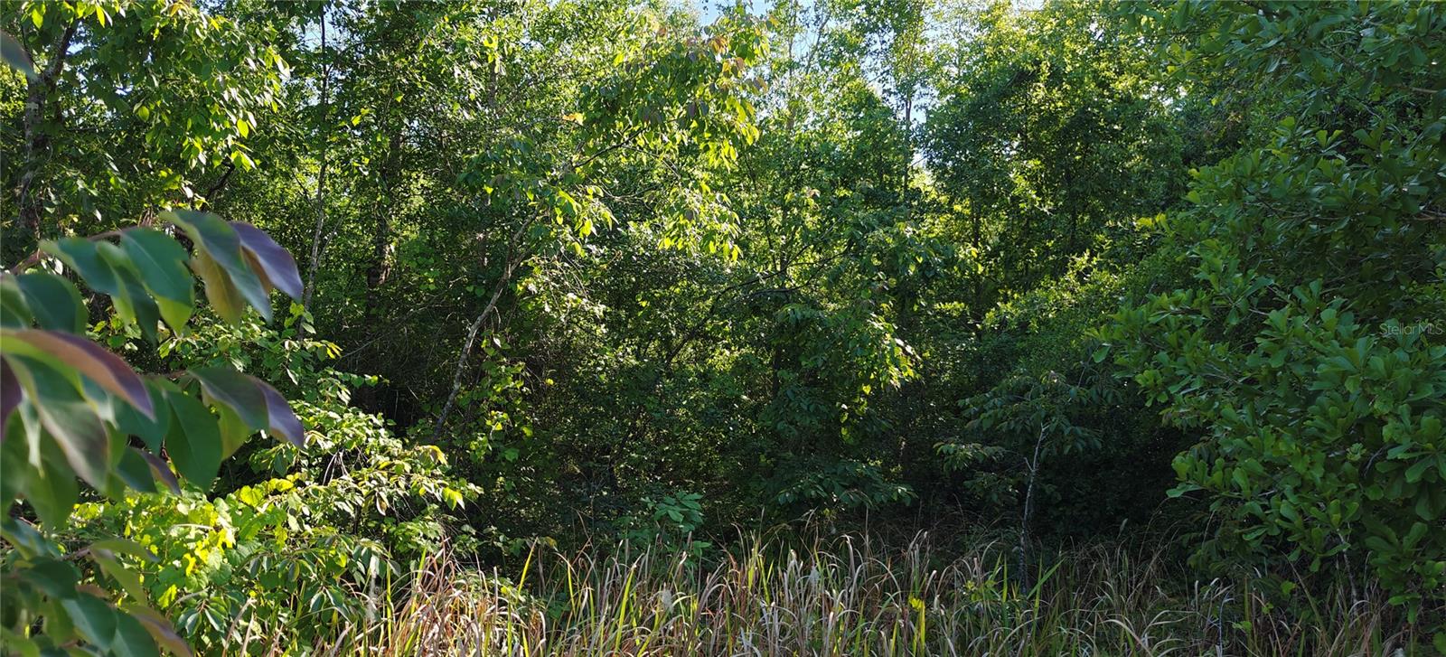 Lot 114 N GOODMAN ROAD