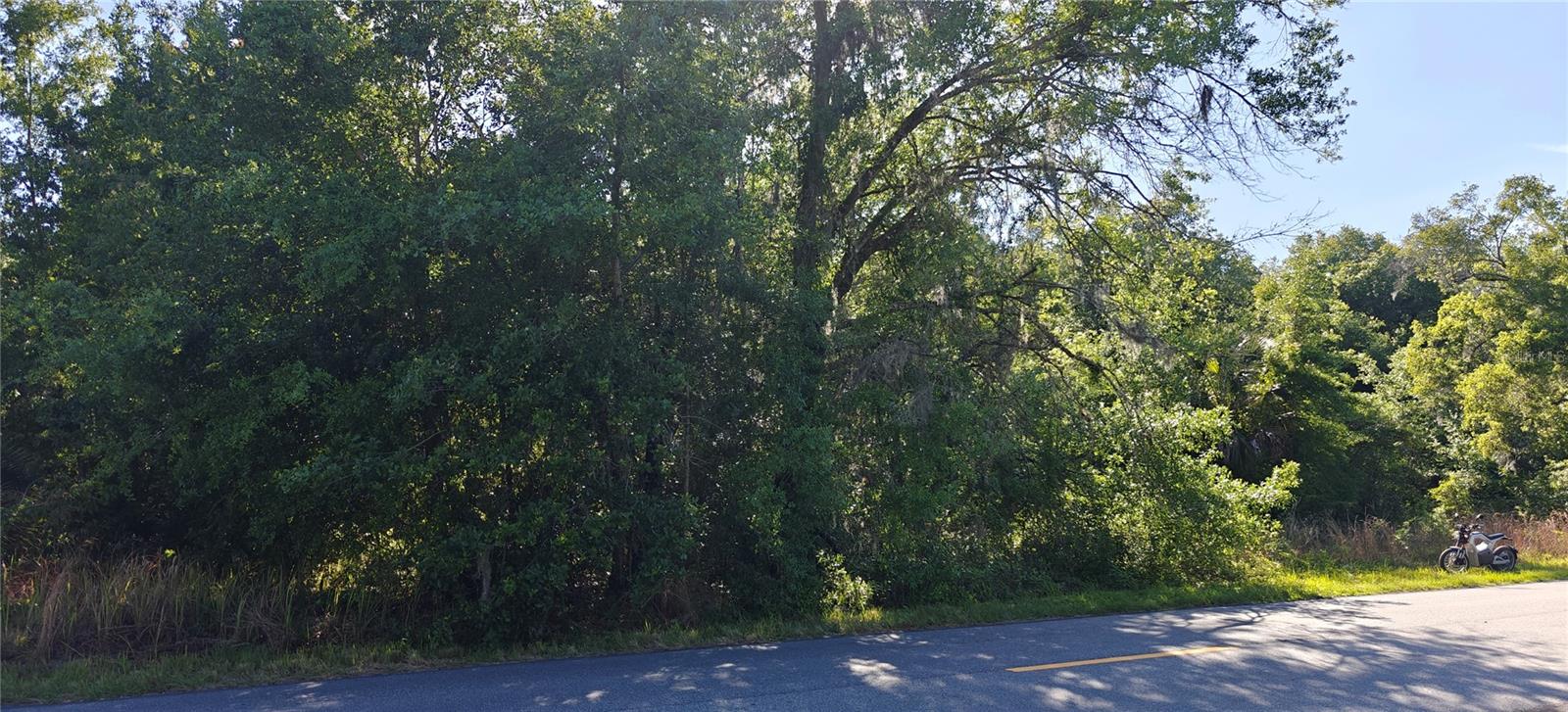 Lot 114 N GOODMAN ROAD