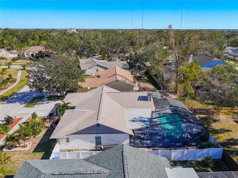 A home in RIVERVIEW