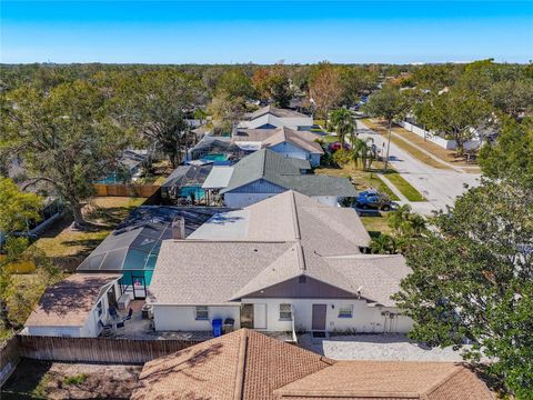 A home in RIVERVIEW