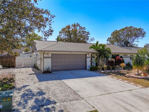 A home in RIVERVIEW