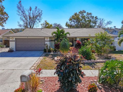 A home in RIVERVIEW