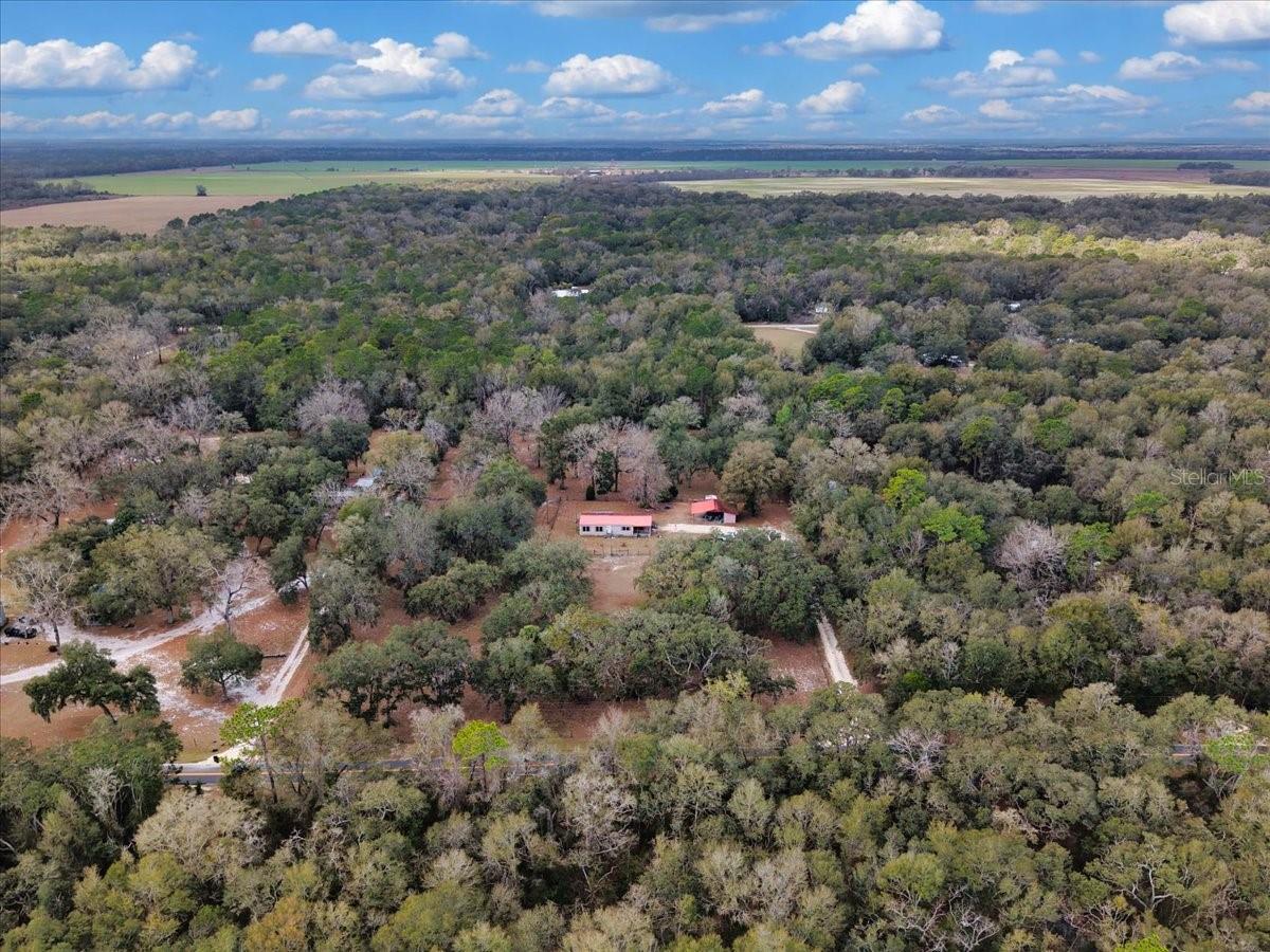 MANATEE FARMS ESTATE 1 - Residential