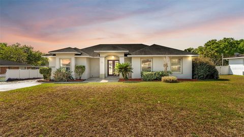 Photo of 629 Orange Valley Lane, Lakeland, FL 33813 (MLS # P4938150)