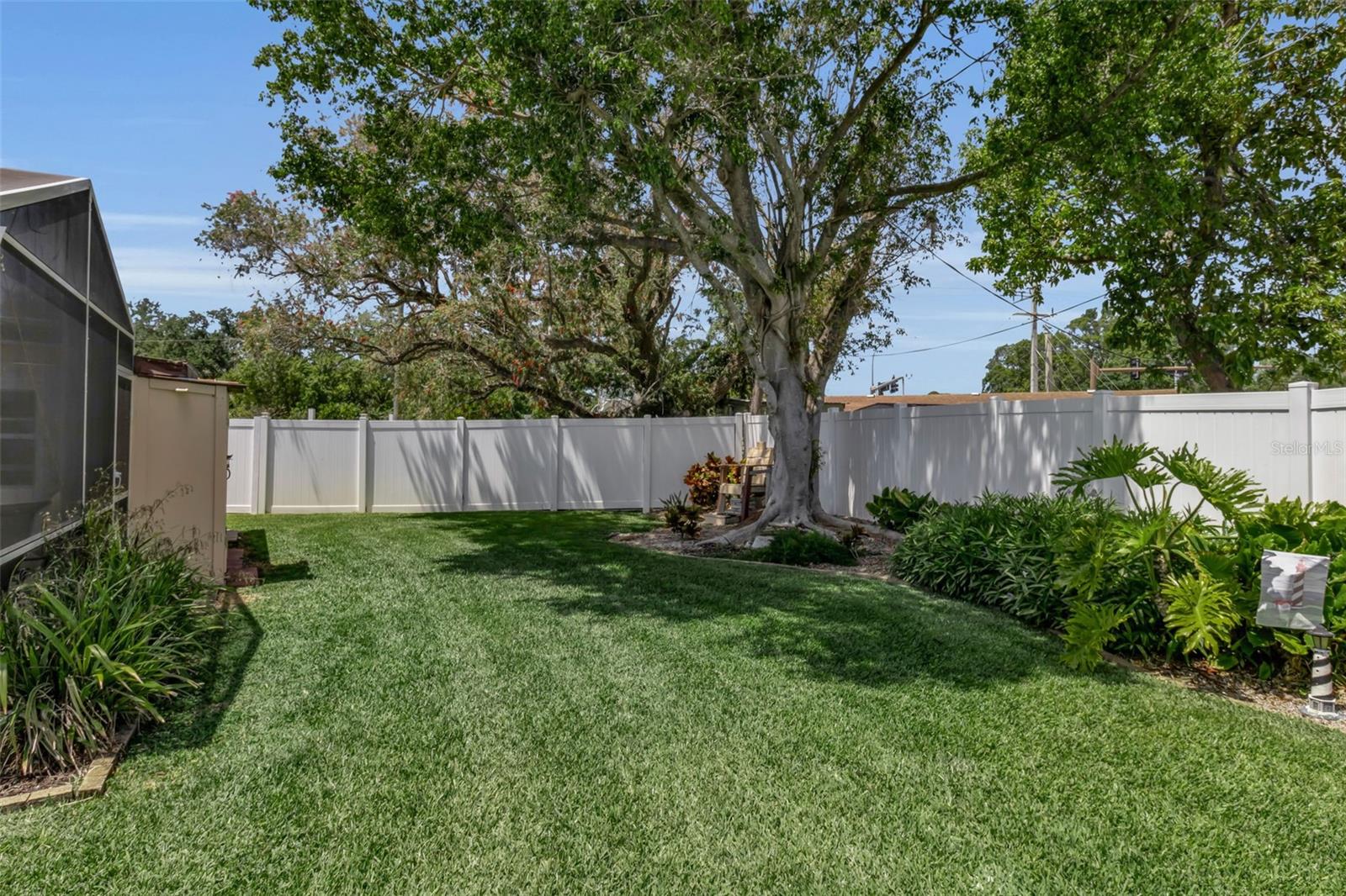 CAMBRIDGE VILLAGE - Residential