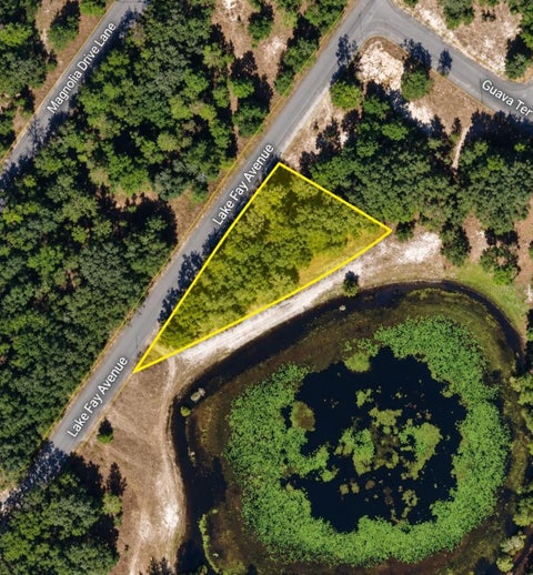 Photo of Undetermined, Ocklawaha, FL 32179 (MLS # O6451669)