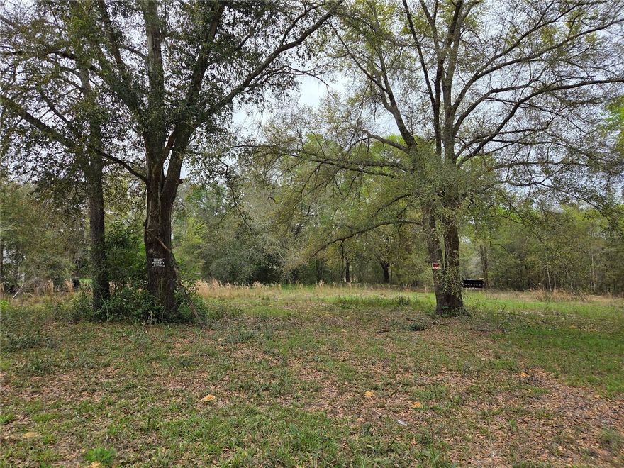 CLEARED .31 ACRE LOT in COUNTRY ESTATES.  Pretty oak trees on a limerock road. Within 10 minutes to Bronson or Williston for shopping or schools. Within 30 minutes to Gainesville or Ocala for entertainment, horse events, colleges, hospitals and restaurants. 30 minutes to Cedar Key for fishing, boating, restaurants etc. Great price!
