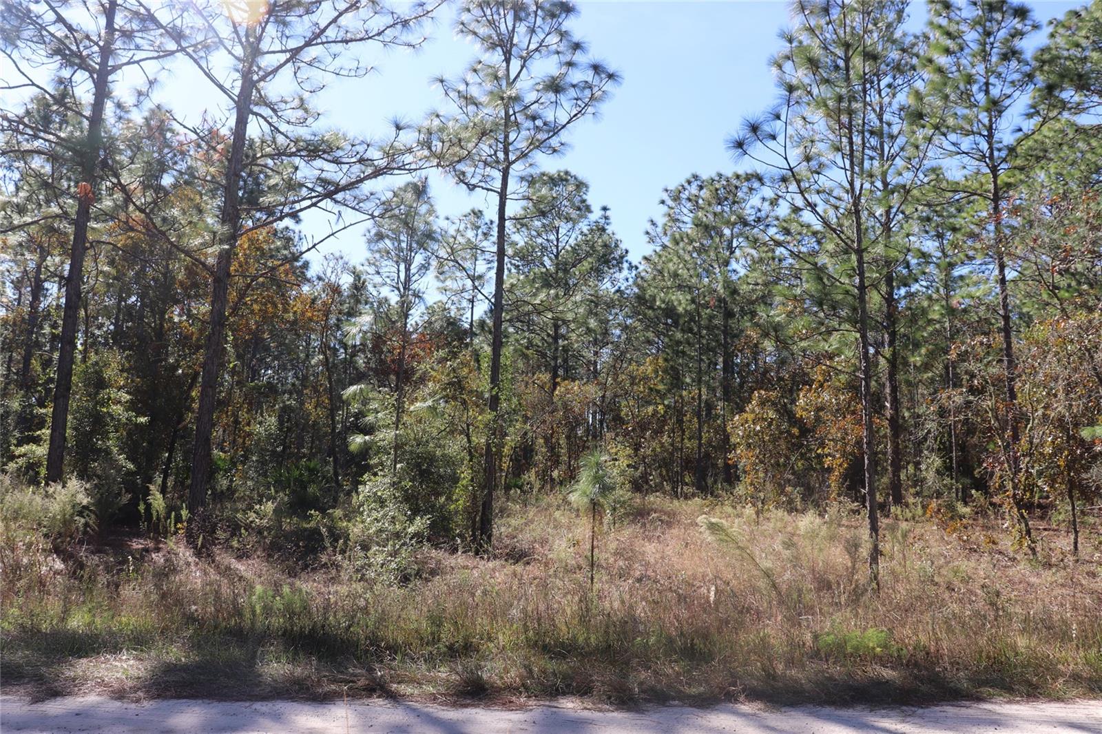 ROLLING HILLS UN 03 - Land