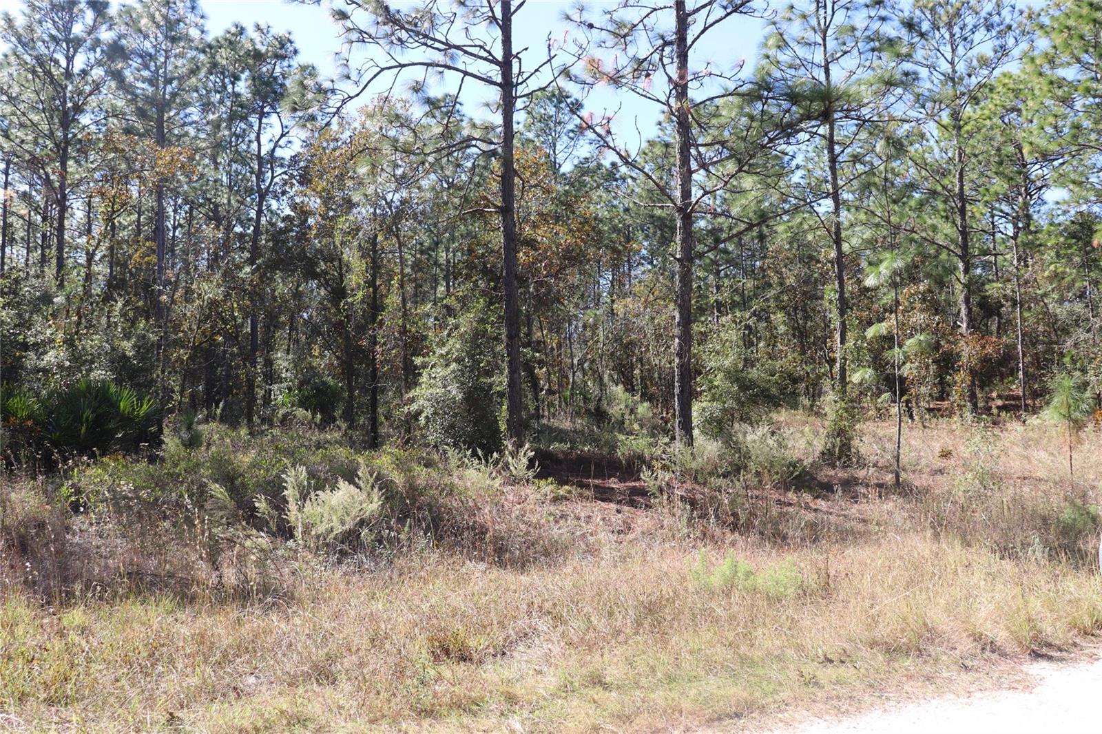 ROLLING HILLS UN 03 - Land