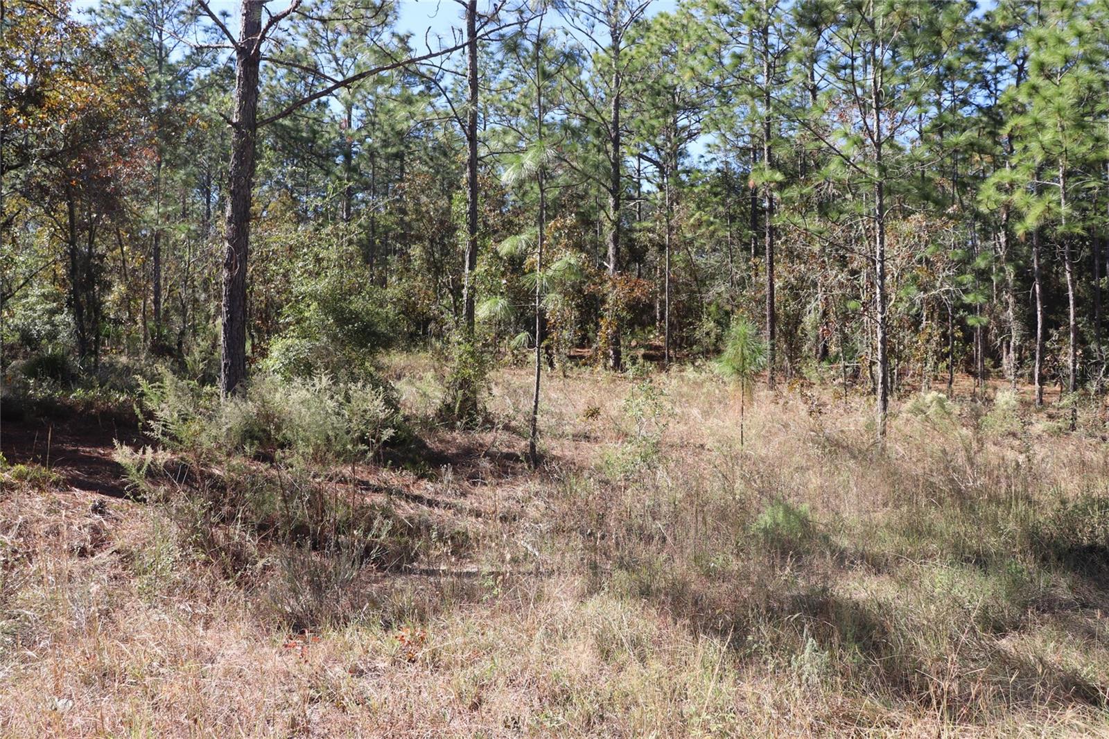 ROLLING HILLS UN 03 - Land