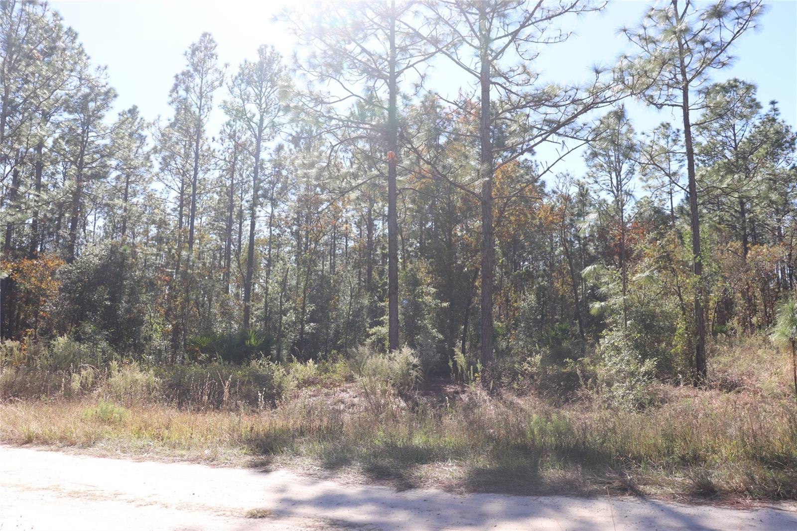 ROLLING HILLS UN 03 - Land