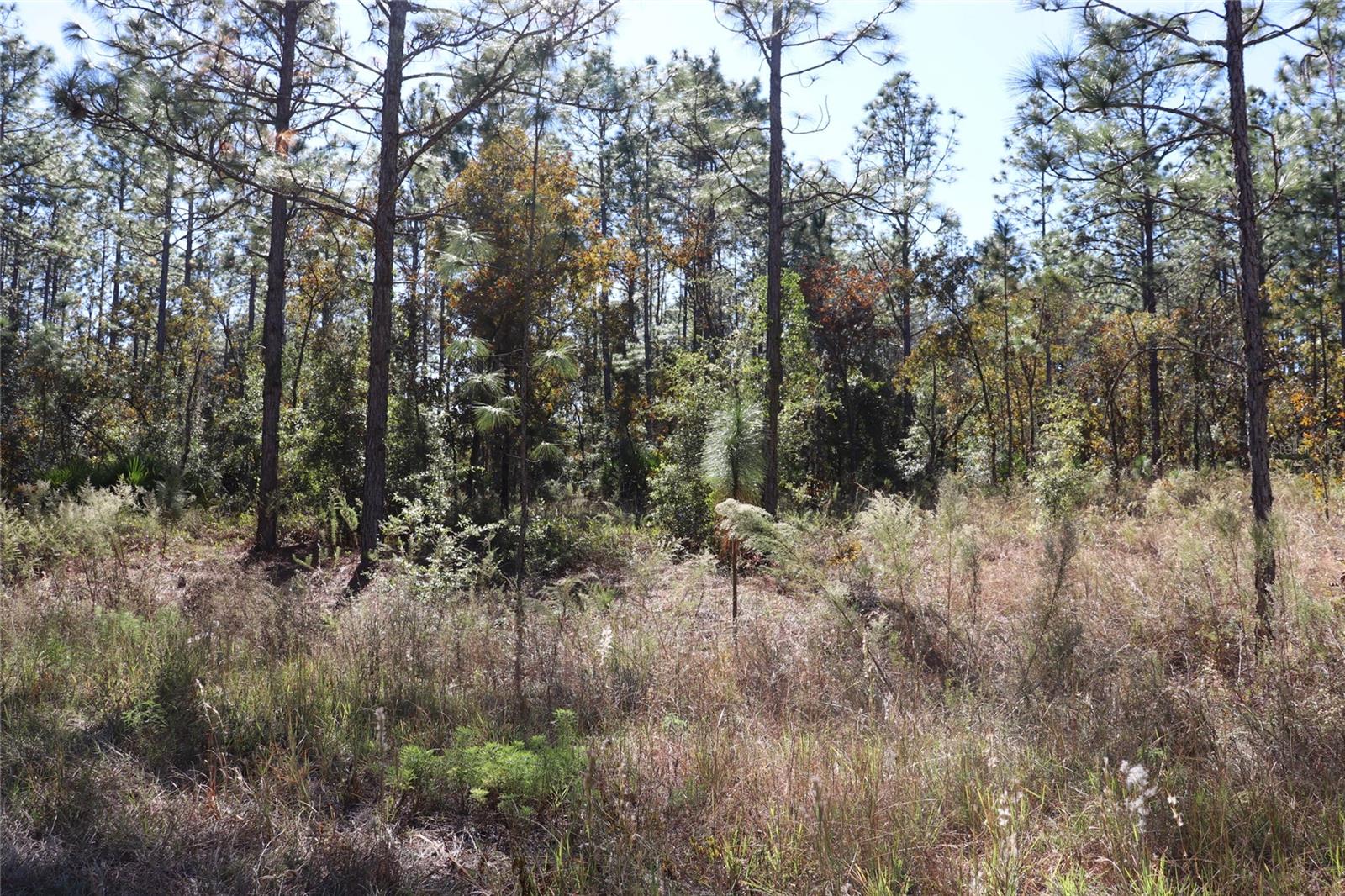 ROLLING HILLS UN 03 - Land