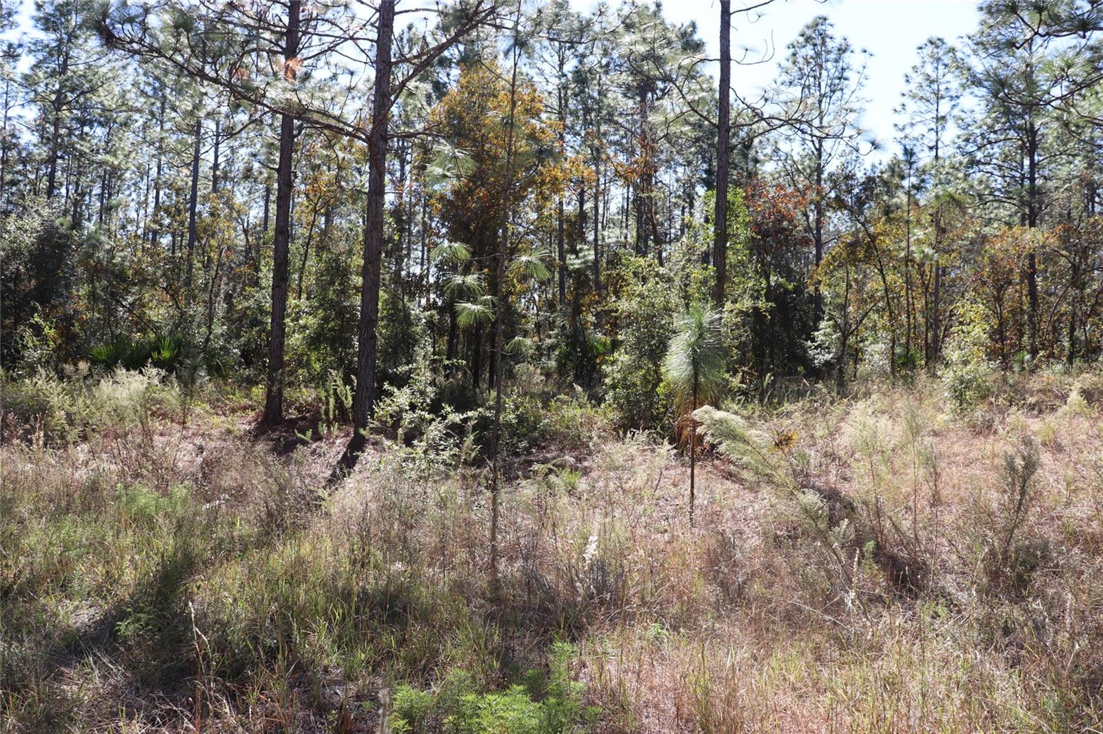 ROLLING HILLS UN 03 - Land