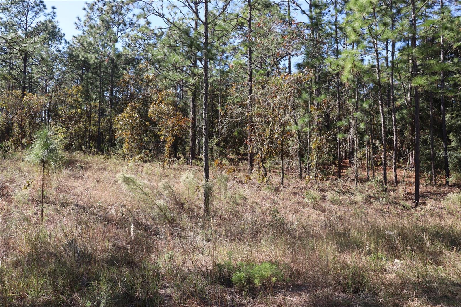 ROLLING HILLS UN 03 - Land