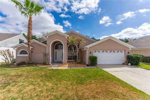 13555 BUCKHORN RUN COURT ORLANDO FL 32837