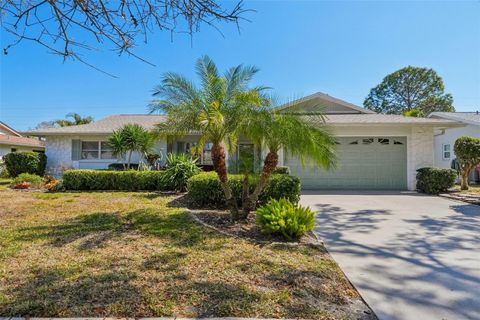 Photo of 2149 Malcolm Drive, Palm Harbor, FL 34684 (MLS # TB8475863)