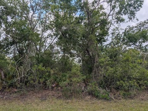 Photo of 1009 Azalea Drive, Indian Lake Estates, FL 33855 (MLS # P4938523)