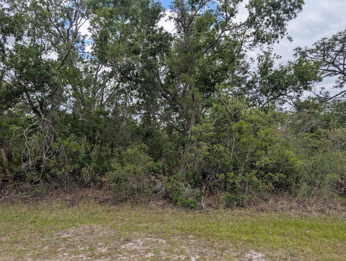 INDIAN LAKE ESTATES - Land