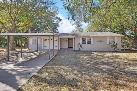 Photo of 60 Madera Road, Debary, FL 32713 (MLS # V4947047)