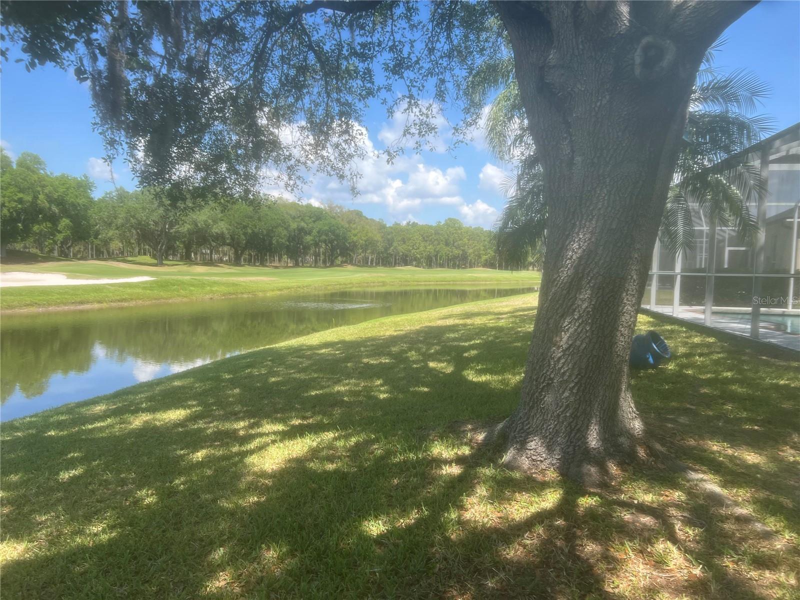 CHEVAL WEST VILLAGE 5A - Residential