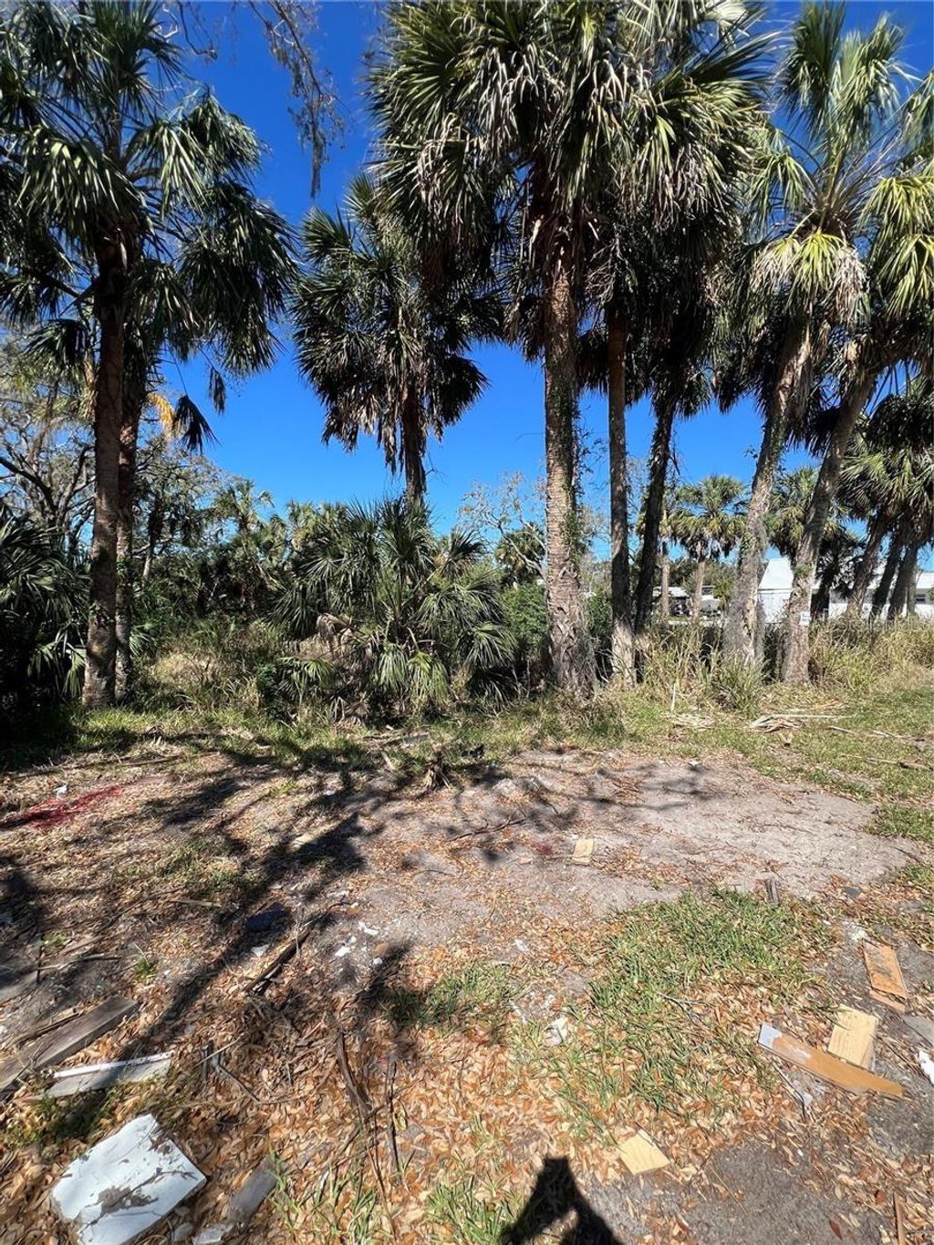 Photo of Betty Street, Port Richey, FL 34668 (MLS # TB8447777)