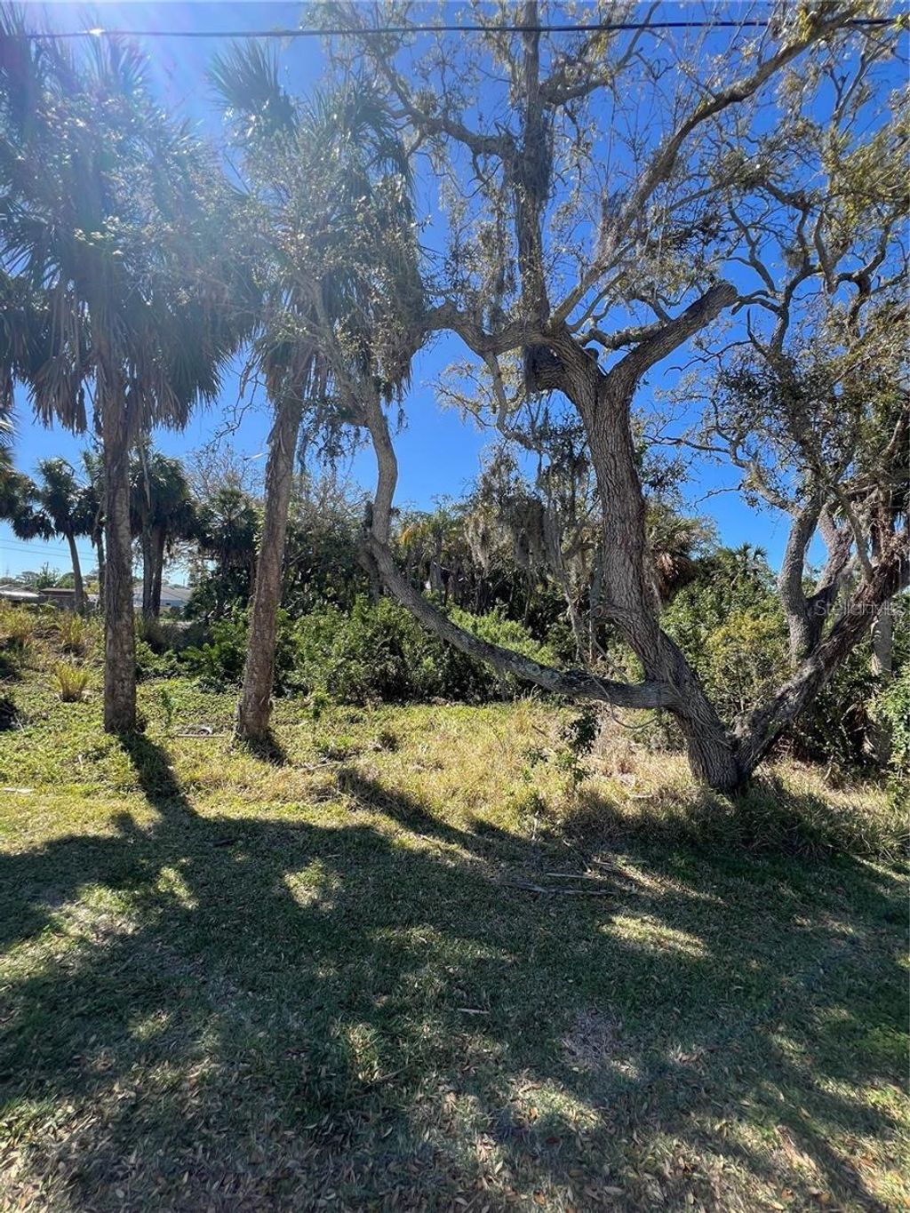 Photo of Betty Street, Port Richey, FL 34668 (MLS # TB8447777)