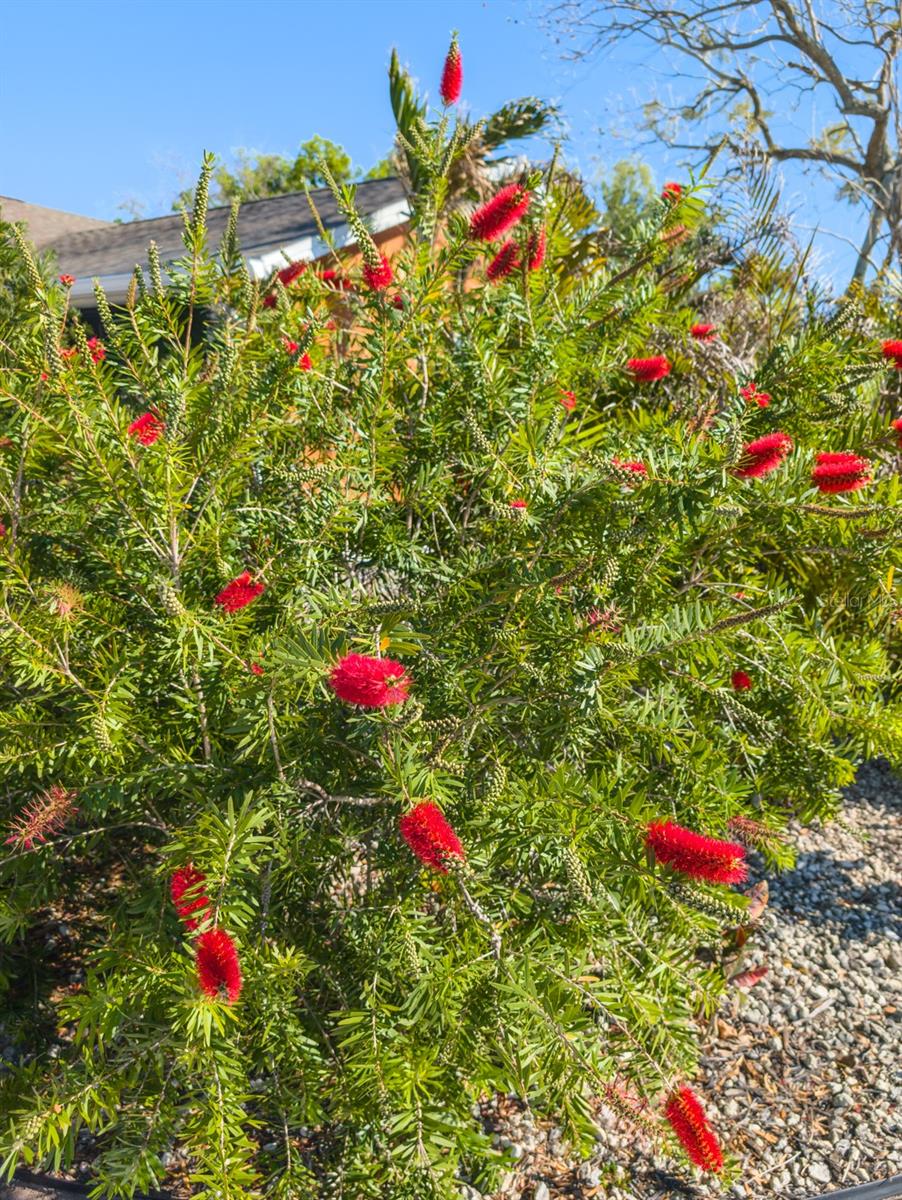 EMBASSY HILLS - Residential