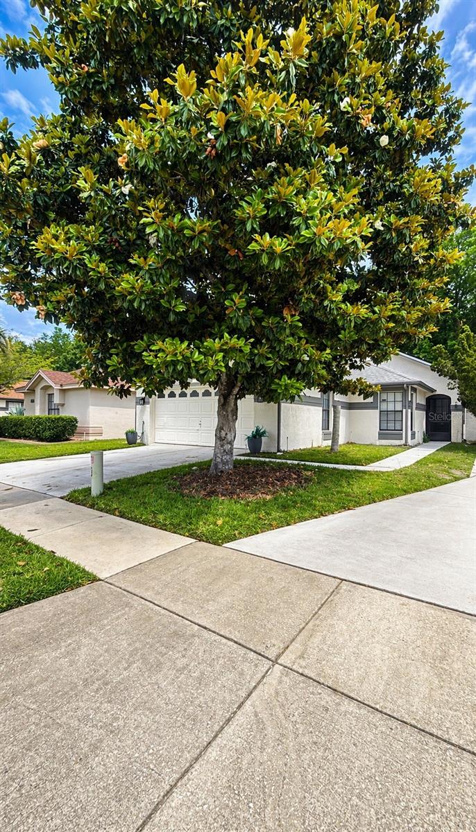 PARKVIEW POINTE - Residential