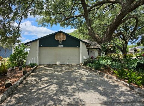 16134 RAVENDALE DRIVE TAMPA FL 33618