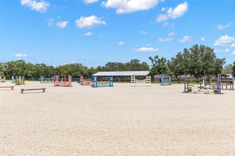 Tiny photo for 15151 NW 162nd Terrace, Williston, FL 32696 (MLS # OM717276)