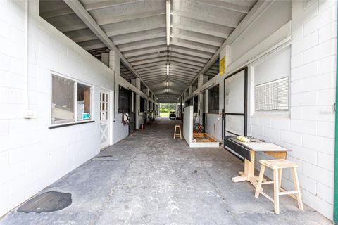 Tiny photo for 15151 NW 162nd Terrace, Williston, FL 32696 (MLS # OM717276)