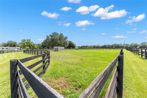 Tiny photo for 15151 NW 162nd Terrace, Williston, FL 32696 (MLS # OM717276)