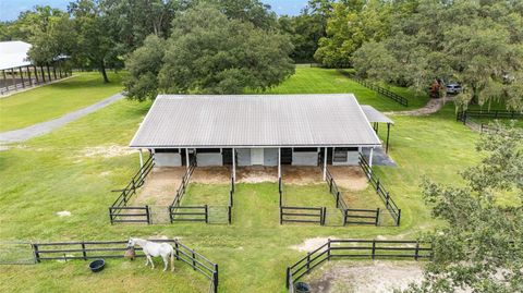Tiny photo for 15151 NW 162nd Terrace, Williston, FL 32696 (MLS # OM717276)