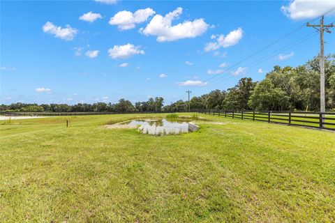 Tiny photo for 15151 NW 162nd Terrace, Williston, FL 32696 (MLS # OM717276)