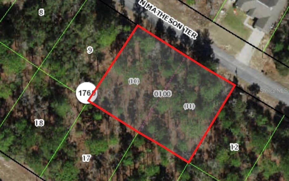 Great lot in a growing area of Citrus Springs!! A double lot that is high and dry. Make your dream home come true. Public waterlines are available for this lot and power poles are already on the street.