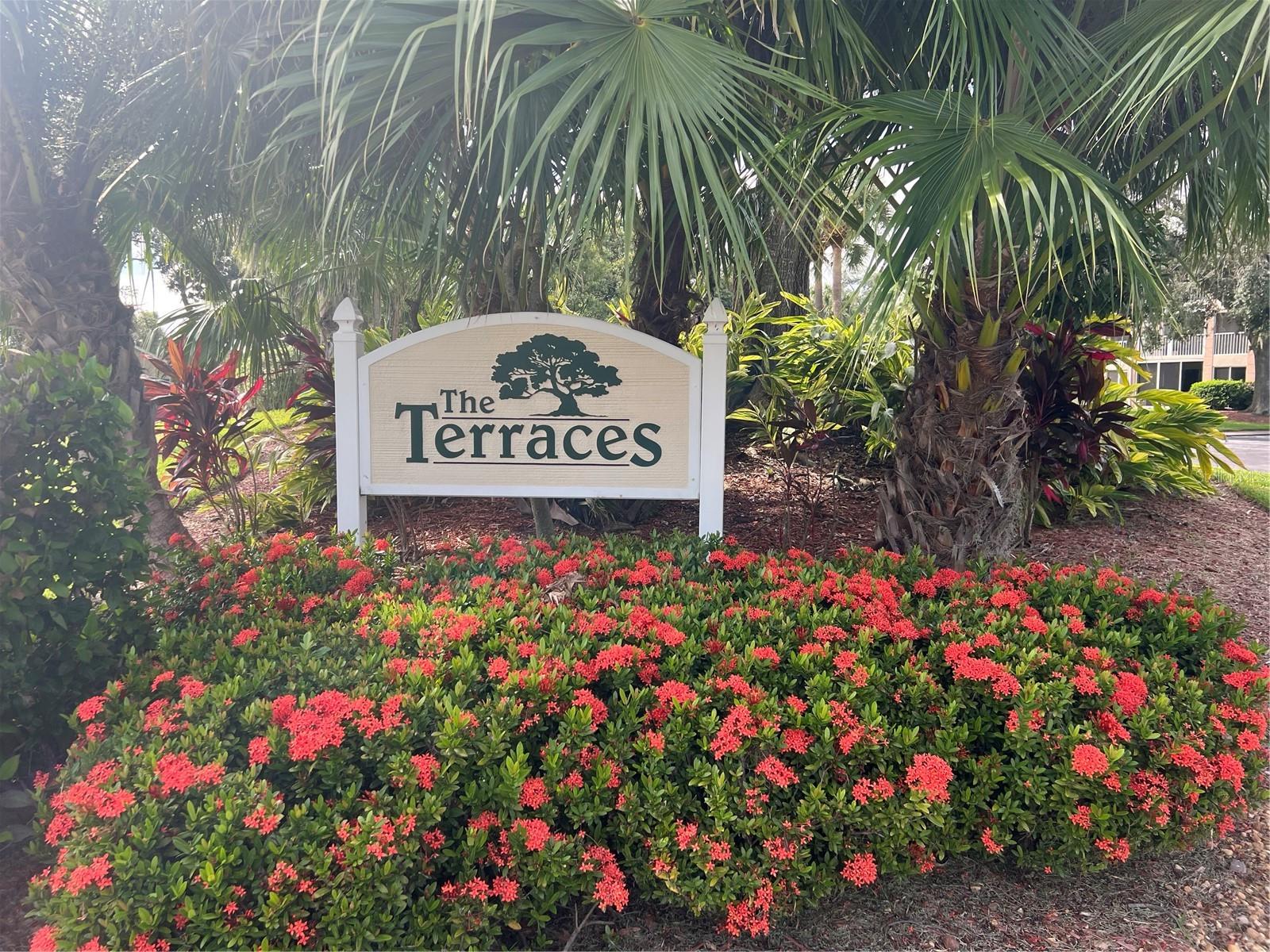 TERRACES 1 OF TARA - Residential Lease