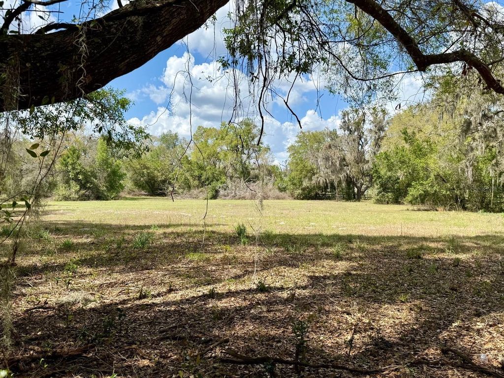 Photo of 10010 Fort King Road, Dade City, FL 33525 (MLS # W7883929)