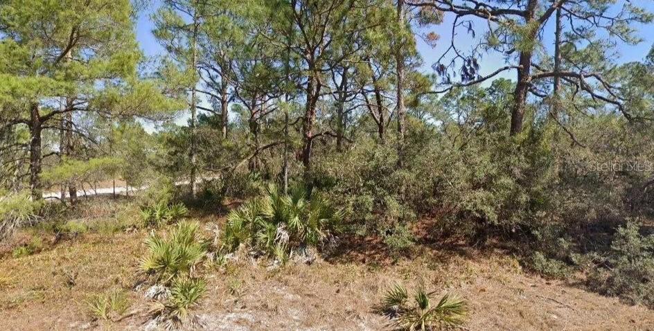An ideal location for constructing your new Lake Placid home! This corner lot is conveniently situated and offers potential for investors as well!