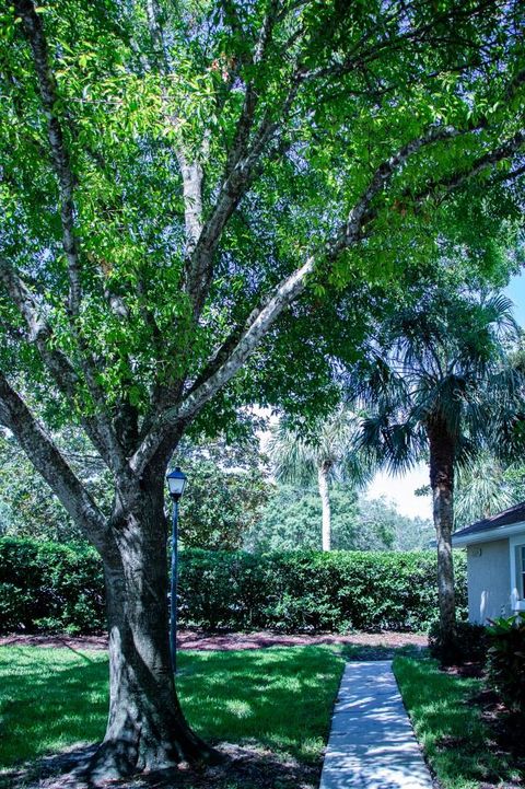 A home in PALM HARBOR