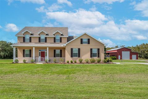 8703 ALAFIA HILLS DRIVE PLANT CITY FL 33567