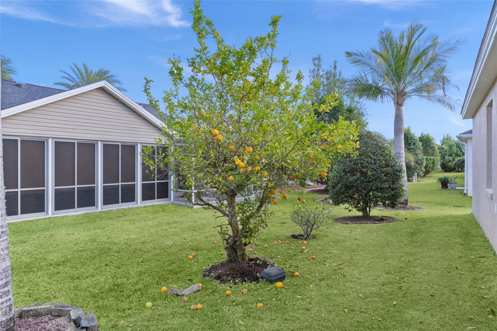 VILLAGES OF SUMTER - Residential