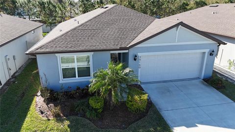 A home in WESLEY CHAPEL