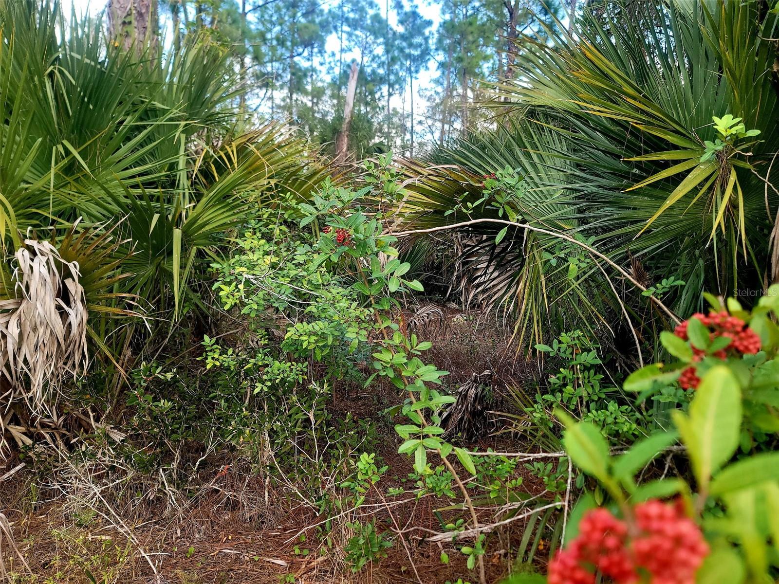 LEHIGH ACRES - Land