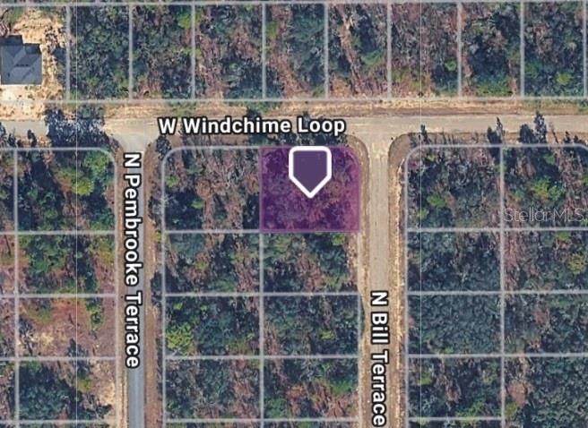Photo of 6548 N Bill Terrace, Citrus Springs, FL 34434 (MLS # TB8536372)