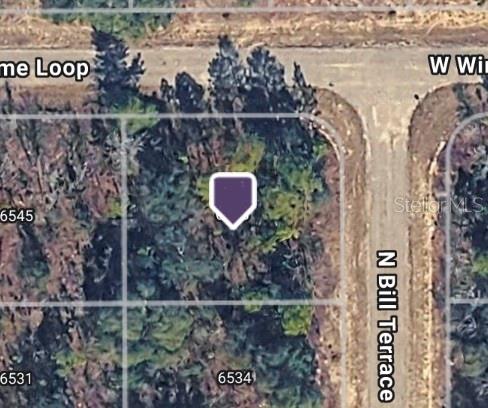 Photo of 6548 N Bill Terrace, Citrus Springs, FL 34434 (MLS # TB8536372)